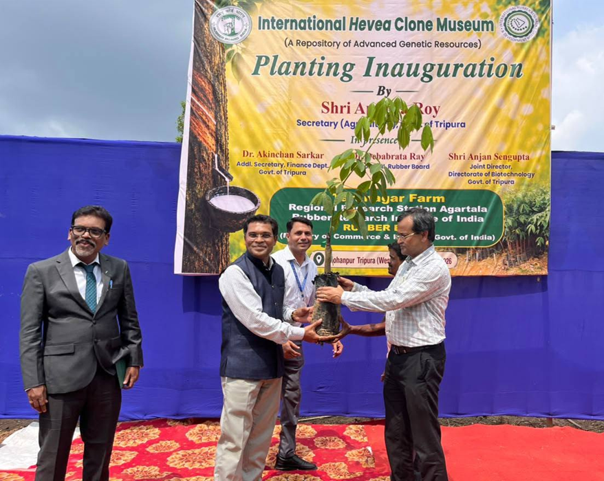 Rubber Board: International Hevea Clone Museum in Agartala